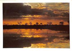 Açılır Kapaklı Manzara Temalı Kartpostal KRT12823