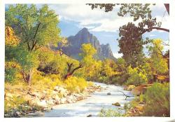 Manzara Temalı Kartpostal KRT12836