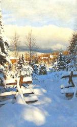 Manzara - Kış Temalı Kartpostal KRT12851