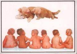 Sevimli Bebekler Kartpostal KRT2304