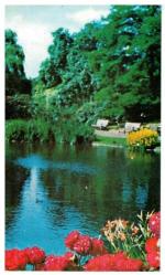 Manzara Temalı Kartpostal KRT2769