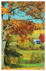 Manzara Temalı Kartpostal KRT2821