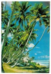 Manzara Temalı Kartpostal KRT2836