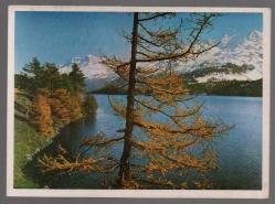 Manzara Temalı Orta Boy Kartpostal KRT2872