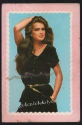 Brooke Shields Kartpostal KRT3250