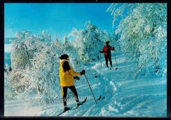 Uludağ Bursa dan Bir Karer Kartpostal KRT4146