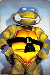 Ninja Kaplumbağalar (Leonardo) Kartpostal KRT4848