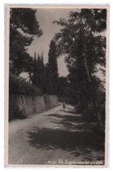 Trabzon Soğuksu Eski Fotokart KRT6316