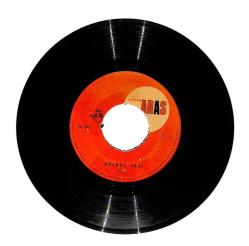 Bülbül Sesi - Gece Gündüz PLAK (10/7) PLK12691