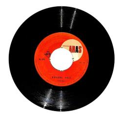 Bülbül Sesi - Gece Gündüz PLAK (10/7) PLK12691