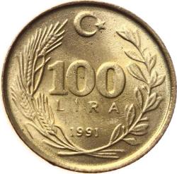 1991 Yılı 100 Lira ÇİL TCM2394
