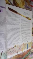 DERİN TARİH MART - SAYI :23- 2014 BİLİNMEYEN YÖNLERİYLE ALEVİLİK VE BEKTAŞİLİK