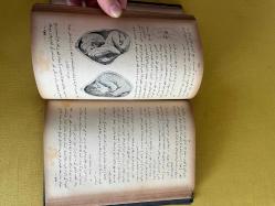 Doğum sanatı ( Osmanlıca)