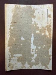 SELMA GÜNERİ KARTPOSTALI RENKLİ 1960LAR D7-1