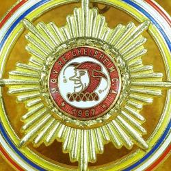 VINTAGE M.G.V. REICHELSHEIM C.A. 1967 ALTIN YALDIZ KAPLAMA , MİNELİ PALYAÇO GÖRSELLİ MADALYA