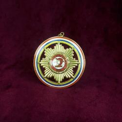 VINTAGE M.G.V. REICHELSHEIM C.A. 1967 ALTIN YALDIZ KAPLAMA , MİNELİ PALYAÇO GÖRSELLİ MADALYA