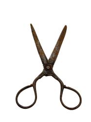 Terzi Makası AOB3934