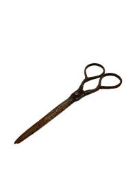 Terzi Makası AOB3934