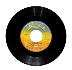 Zeki Müren - Gel Gitme Kalmasın Gözüm Yollarda / Köylü Kızı (107.5) PLK15878