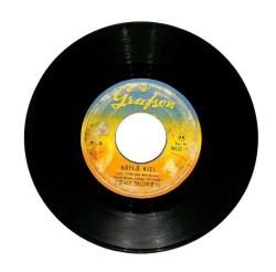 Zeki Müren - Gel Gitme Kalmasın Gözüm Yollarda / Köylü Kızı (107.5) PLK15878