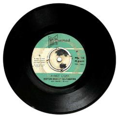 Ahmet Çiçek - Gitme Boyun Büküp İçli Bakma (107) PLK15916