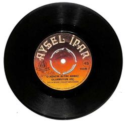 Aysel İpar - O Ağacın Altını Bilmem Anıyormusun - O Ağacın Altını Anmaz Olurmuyum Hiç (107) PLK16205