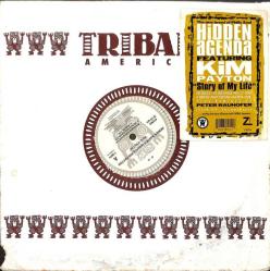 Hidden Agenda Featuring Kim Payton (1994) – Story Of My Life LP (108) PLK17236