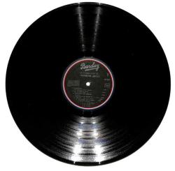 Patrick Juvet – Le Disque DOr 1978 France LP (109) PLK17409