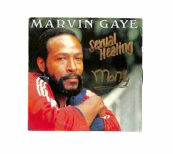 Marvin Gaye - Sexual Healing PLAK (109) PLK18922