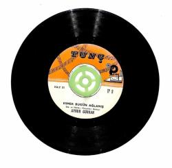 Aynur Gürkan - Esmer Bugün Ağlamış Çok Verdi Felek Bu Derdi PLAK109