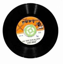 Aynur Gürkan - Esmer Bugün Ağlamış Çok Verdi Felek Bu Derdi PLAK109