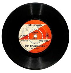 Halit Arapoğlu - Özür Diliyorum Senden Sevda Yüklü Kervanlar Plak (106.5) PLK20344