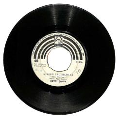 Hayri Şahin - Kimler Unutmadı ki Dönmedin Sevgilim Plak (106.5) PLK20348