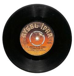 Aysel İpar - O Ağacın Altını Bilmem Anıyormusun - O Ağacın Altını Anmaz Olurmuyum Hiç Plak (106) PLK20828