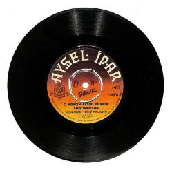 Aysel İpar - O Ağacın Altını Bilmem Anıyormusun - O Ağacın Altını Anmaz Olurmuyum Hiç Plak (107) PLK21001