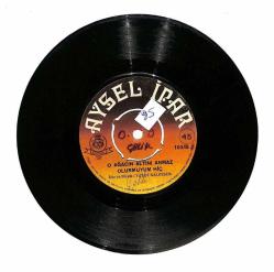 Aysel İpar - O Ağacın Altını Bilmem Anıyormusun - O Ağacın Altını Anmaz Olurmuyum Hiç Plak (107) PLK21001