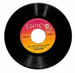 Aynur Gürkan - Esmer Bugün Ağlamış / Çok Verdi Felek Bu Derdi Plak (10/7) PLK21007