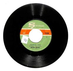 Hayri Şahin - Aşkımızın Sonu / Maziye Gömdüm Seni Plak (10/7) PLK21376