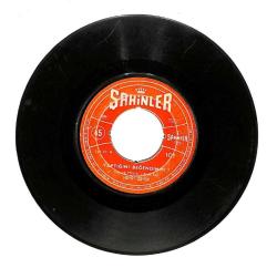 Hayri Şahin - Yaptığını Beğendin Mi? / Acı Izdırap Plak (10/6) PLK21400