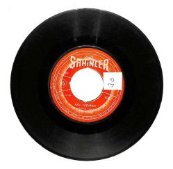 Hayri Şahin - Yaptığını Beğendin Mi? / Acı Izdırap Plak (10/6) PLK21400