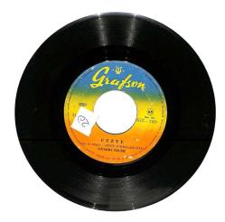 Güneri Tecer - Cezve Yaşamak İstiyorum Plak (108) PLK21479