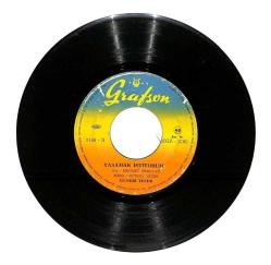 Güneri Tecer - Cezve Yaşamak İstiyorum Plak (108) PLK21479