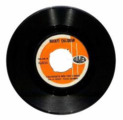 Necati Çalışkan - Yaşamakta Bir Tad Varmı Ben Ağacın Dalları Plak (107) PLK21692