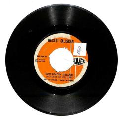 Necati Çalışkan - Yaşamakta Bir Tad Varmı Ben Ağacın Dalları Plak (107) PLK21692