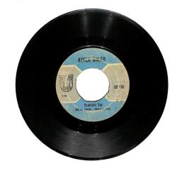 Ayfer Ünler - Yeminim Var Hayatımı Sana Verdim Plak (106.5) PLK21775