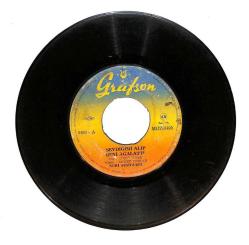 Nuri Sesigüzel - Sevdiğimi Alıp Beni Ağlattı Arıdım Bala Geldim PLAK (106) PLK22935