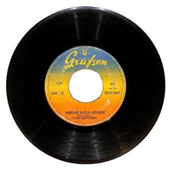 Nuri Sesigüzel - Sevdiğimi Alıp Beni Ağlattı Arıdım Bala Geldim PLAK (106) PLK22935