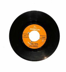Ayla Dikmen - Çoban Pınarı / Ay Ay Ay PLAK (10/7.5) PLK23583