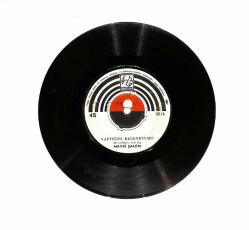 Hayri Şahin - Yaptığını Beğendin Mi? / Acı İzdırap PLAK (10/7.5) PLK23699