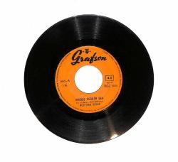 Müzeyyen Senar - Berduş Değilim Ben / Dereler Çağlar Oldu PLAK (10/7.5) PLK23730